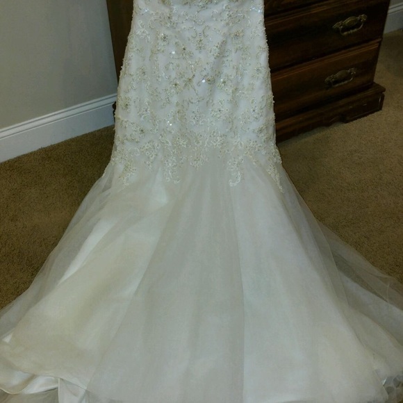 Maggie Sottero Midgely wedding gown - Picture 4 of 8